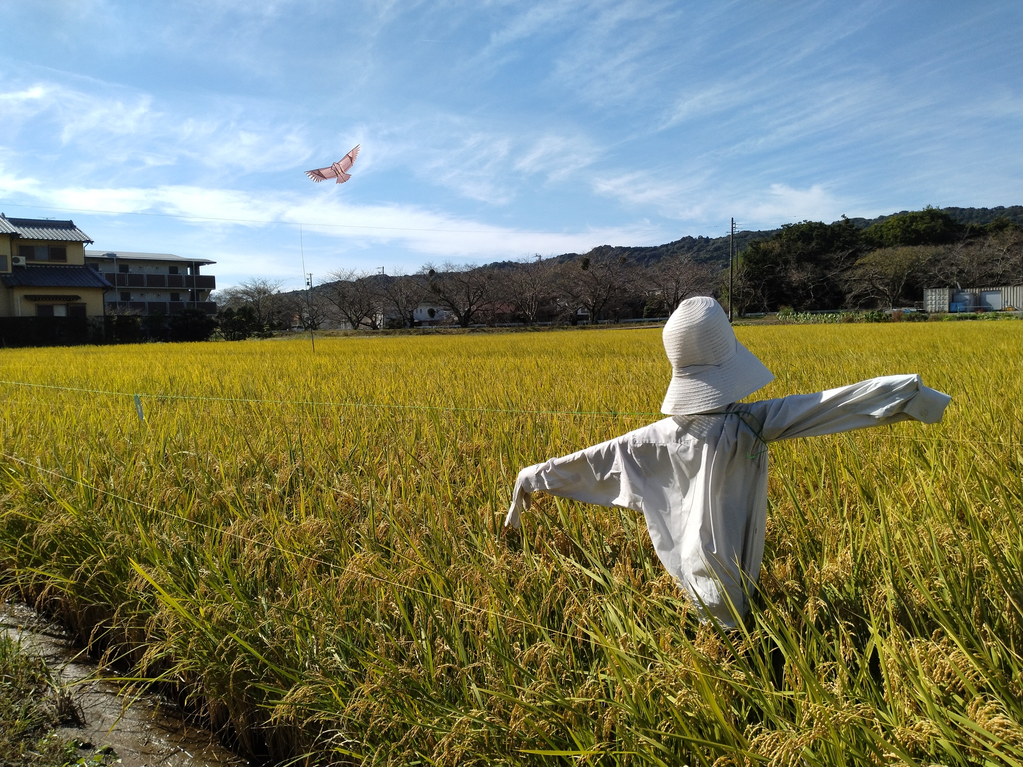 新着情報の画像